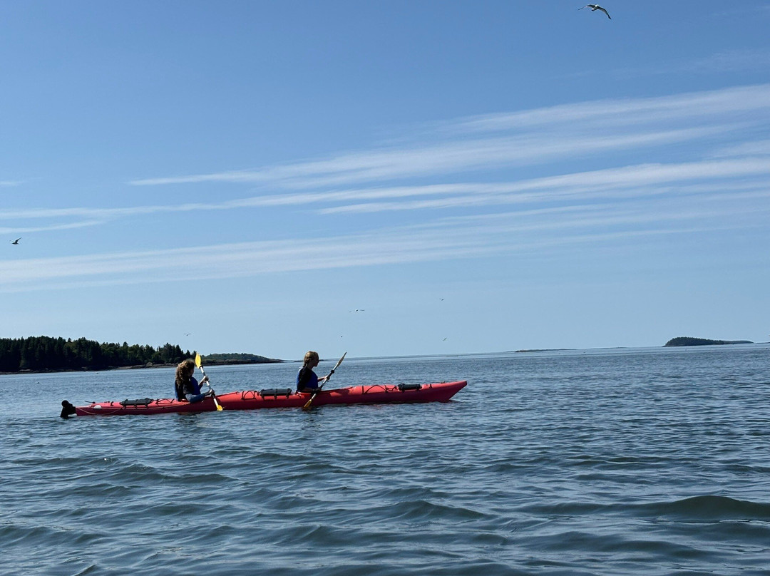 Sunrise Canoe and Kayak-Machias必去景点