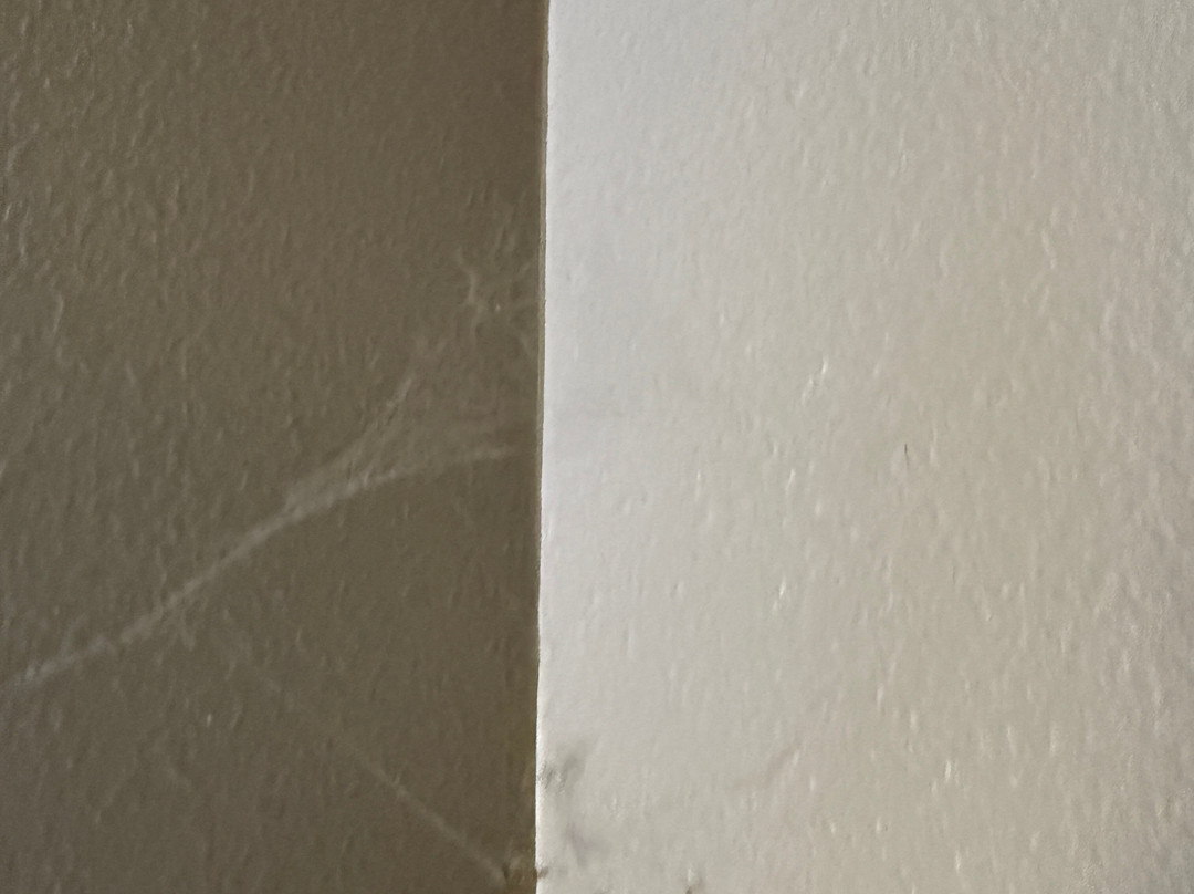 Super 8 by Wyndham Cookeville, TN主图