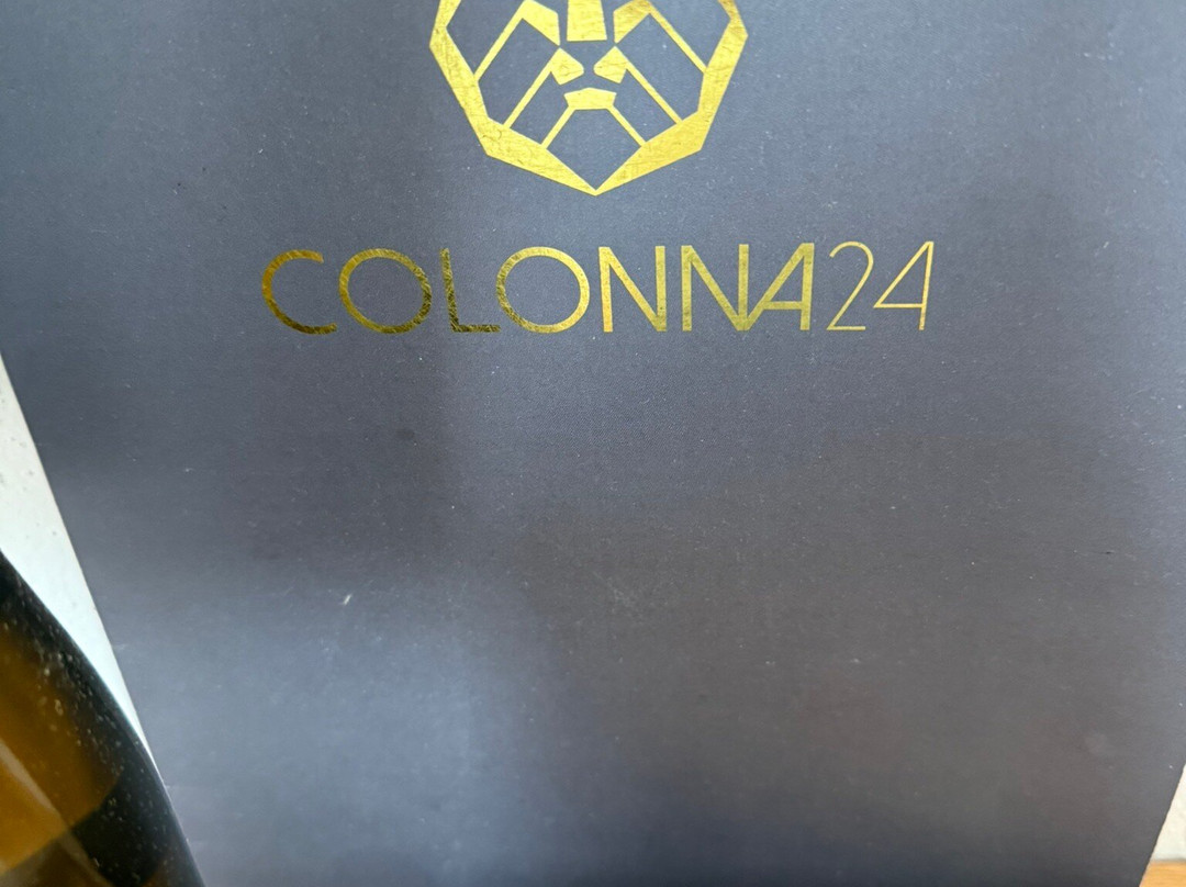 Colonna 24主图