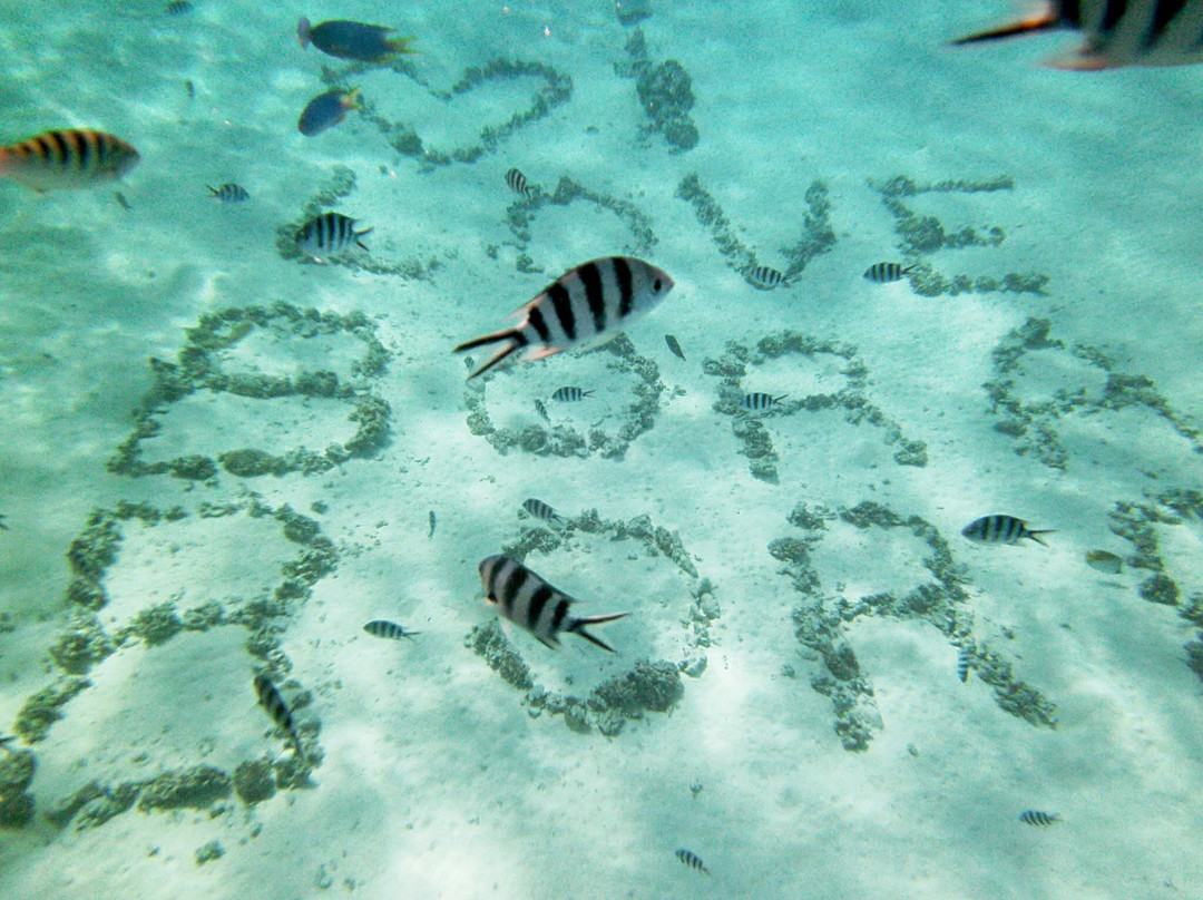 Bora Bora Onoku Services-瓦伊塔佩必去景点