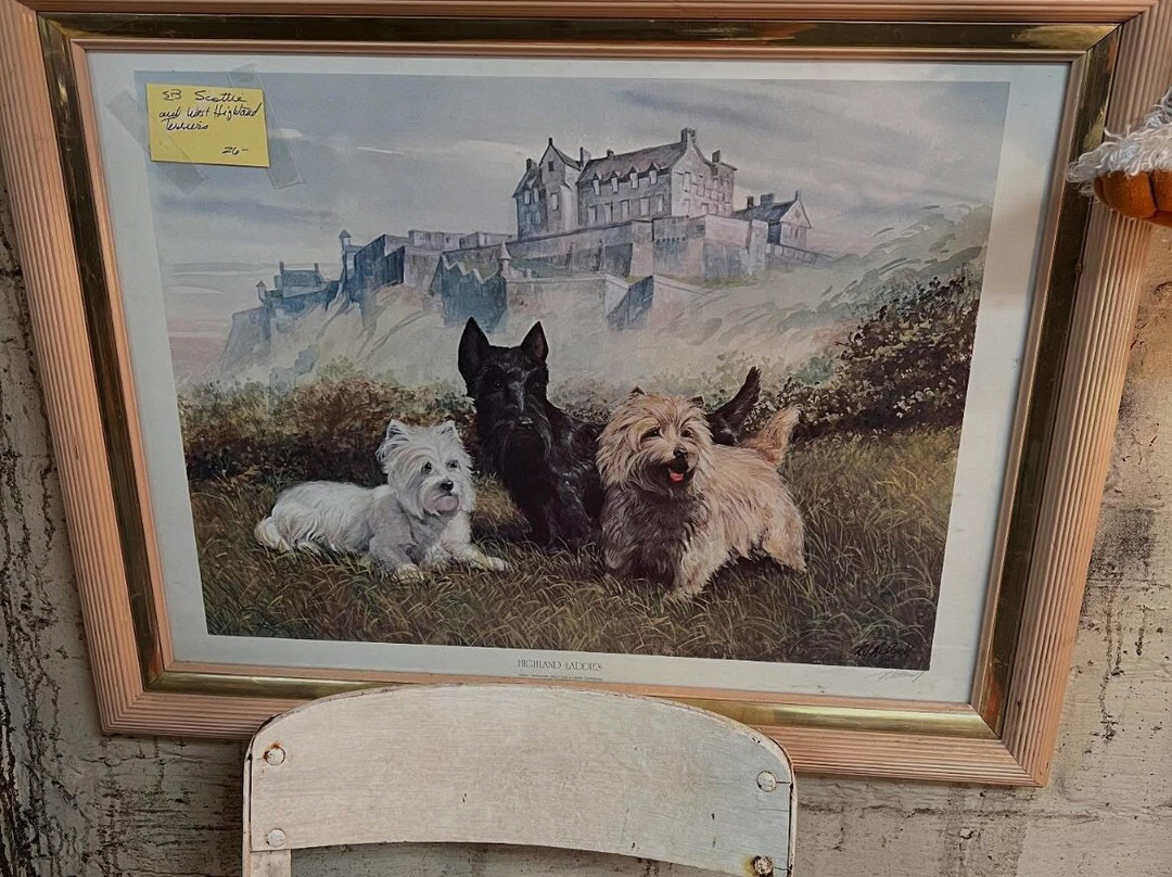 The Saturday Market-Thomson必去景点