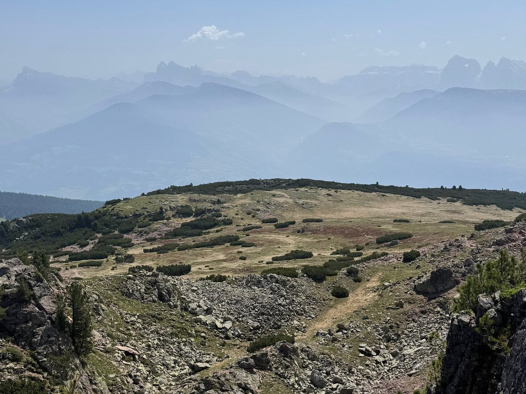 Panorama Hotel Flora主图