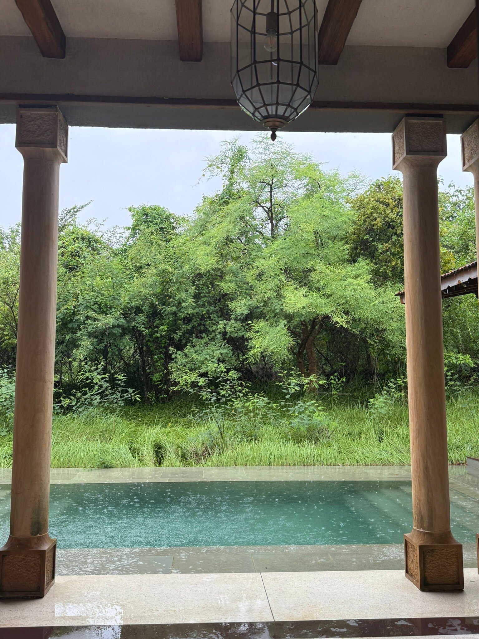 Aramness Gir National Park-官方