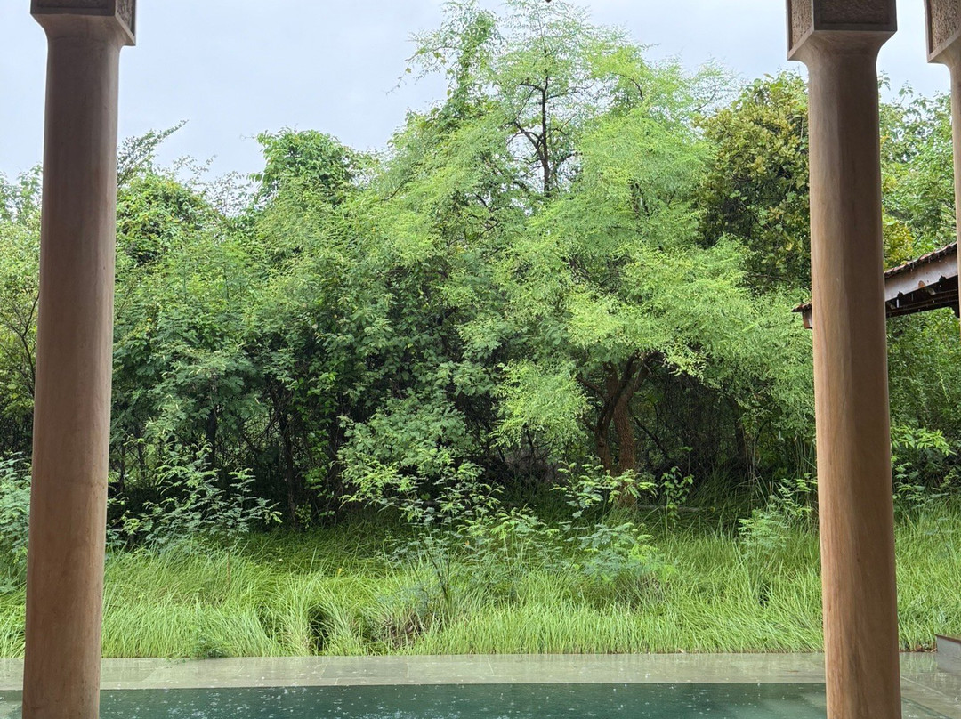 Aramness Gir National Park主图