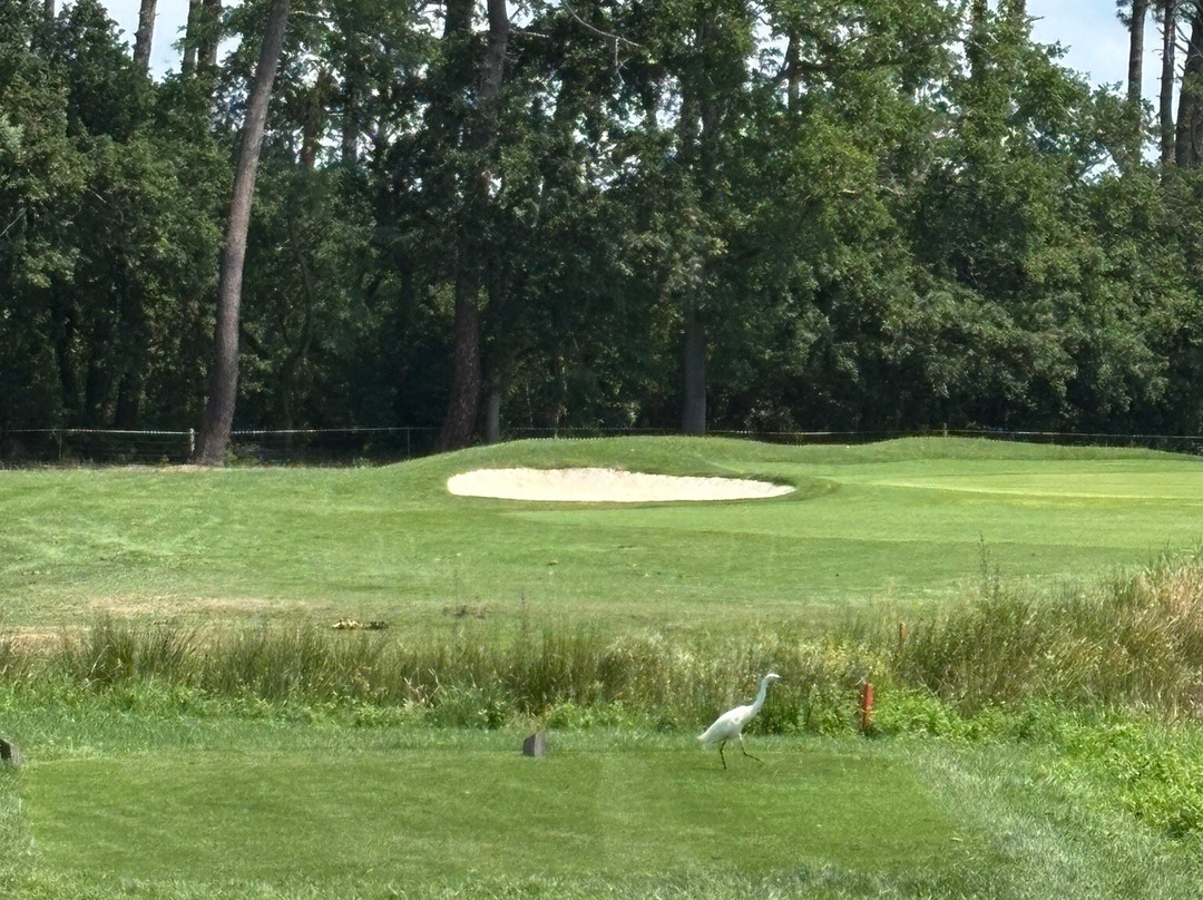 Golf International d'Arcachon-拉泰斯特德比克必去景点