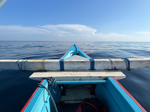 Saraswati Lovina Dolphin-罗威那海滩必去景点
