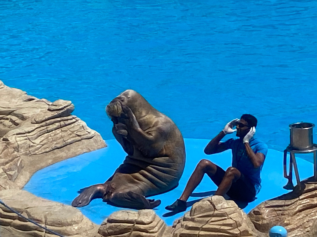 Trip Suchen Tours - Hurghada-赫尔格达必去景点