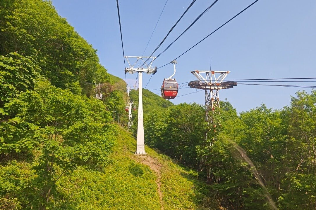 登别熊牧场-登别市必去景点