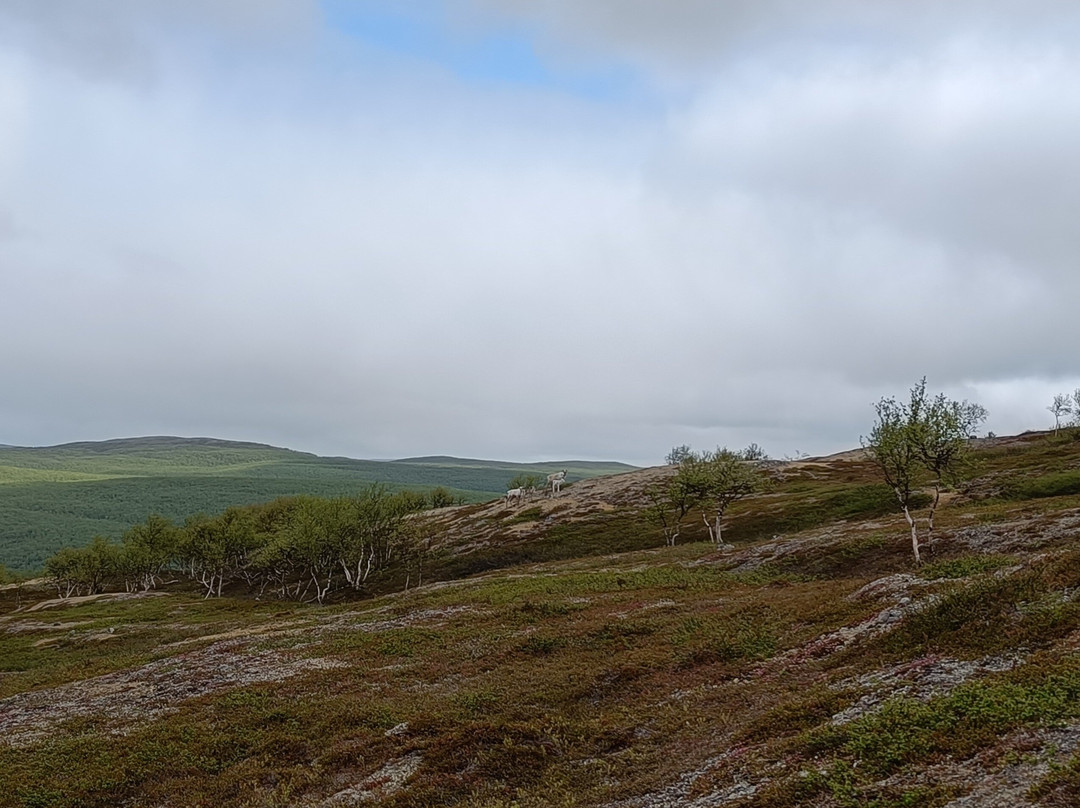 Travel Utsjoki-Utsjoki必去景点