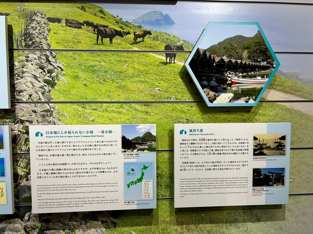 Oki Nature Museum-隐岐之岛町必去景点