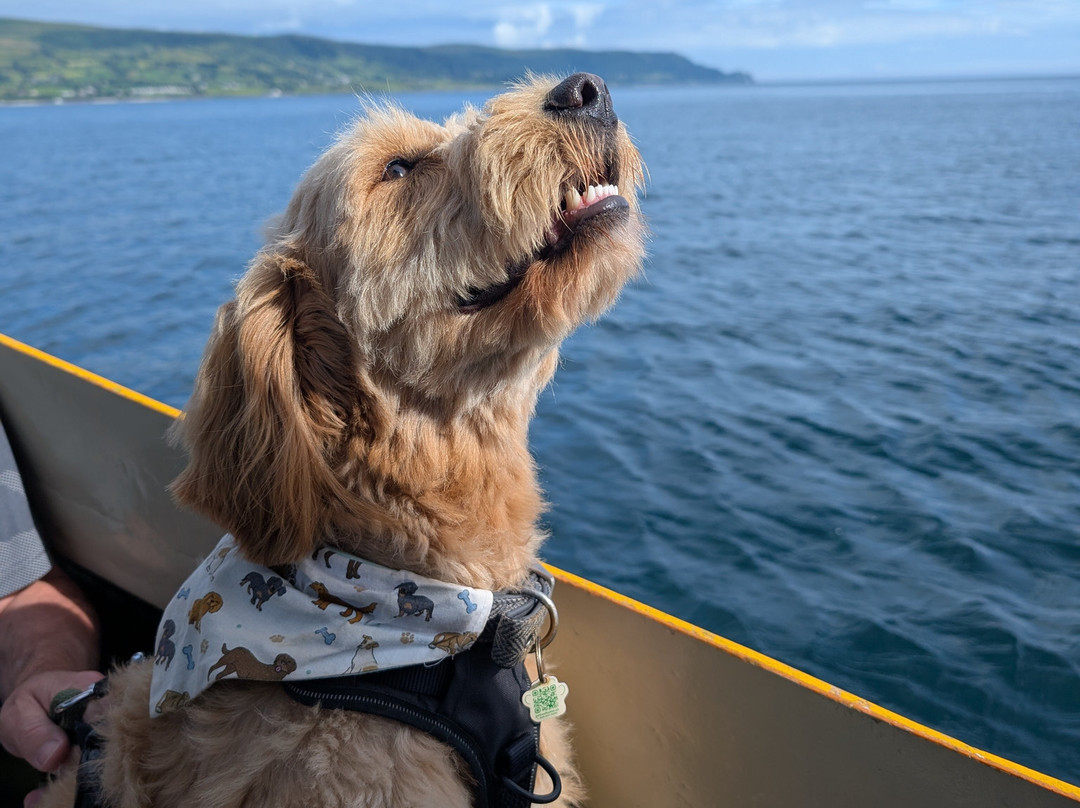 Carnlough Bay Boat Tours-Carnlough必去景点