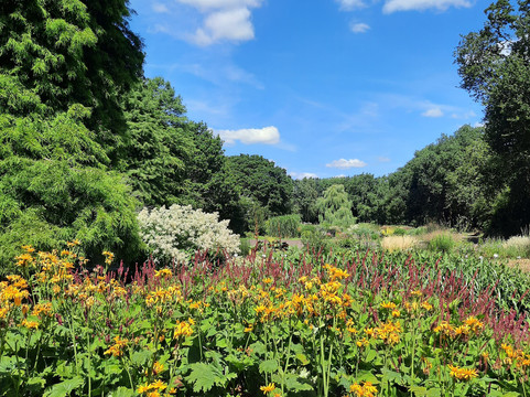 Beth Chatto's Plants & Gardens-科尔切斯特必去景点