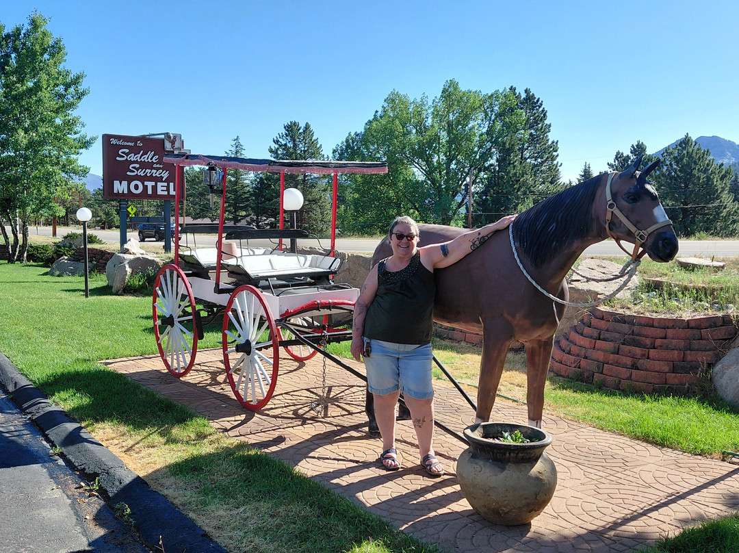 Saddle & Surrey Motel主图