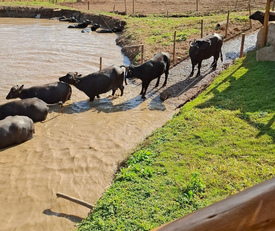 Perola da Serra-Itanhandu必去景点