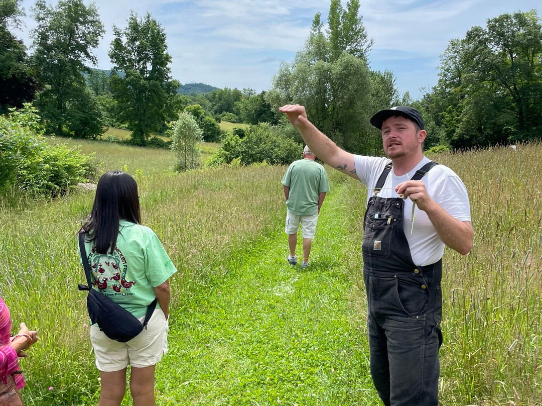 Baird Farm Vermont Maple Syrup-奇滕登必去景点