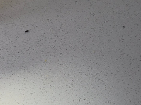 Ramada By Wyndham North Bergen