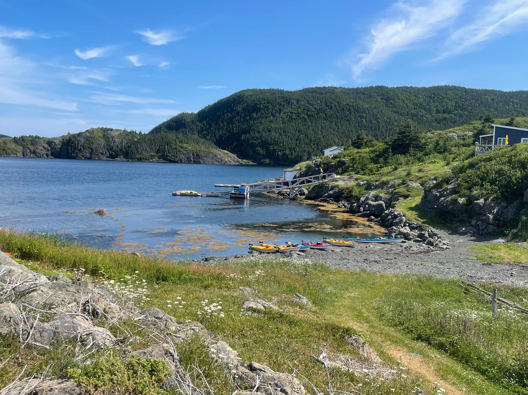 Adventures Newfoundland-Fortune Harbour必去景点