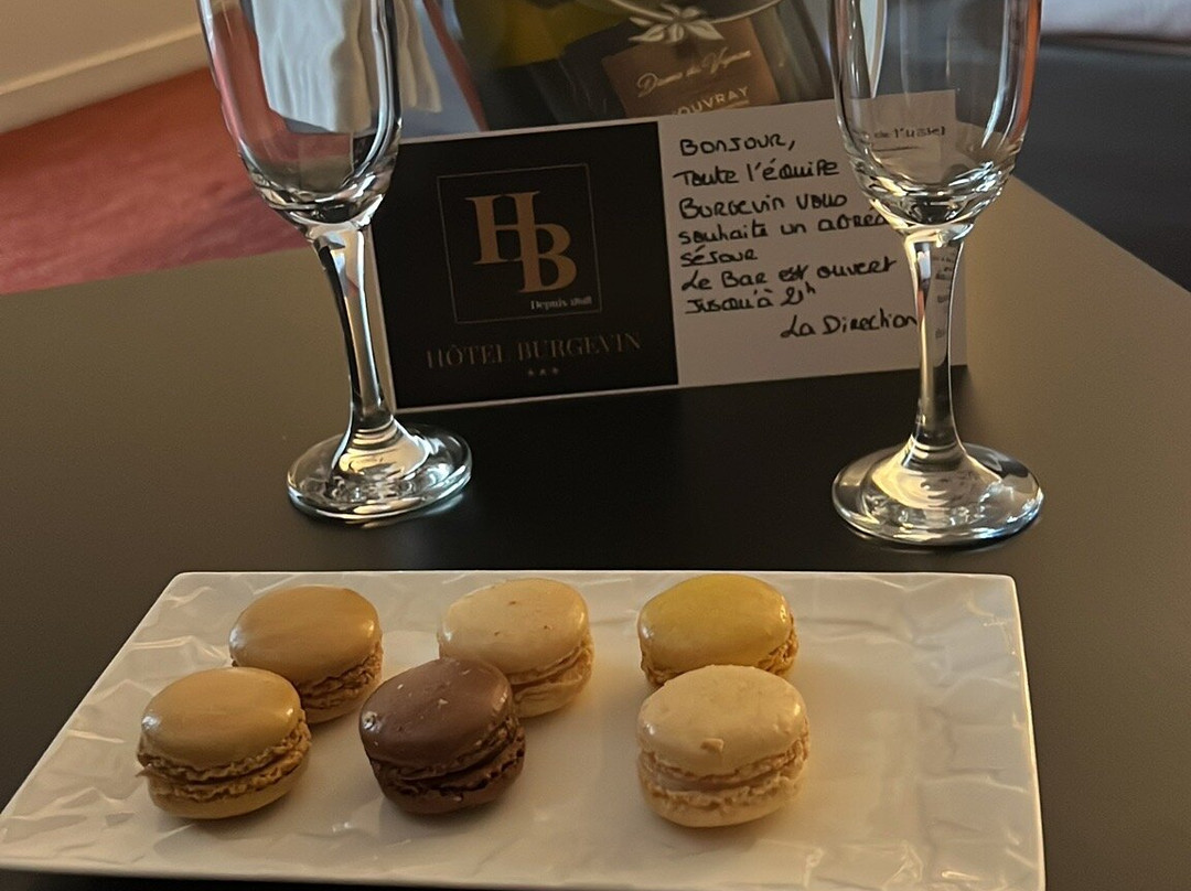 Hôtel Burgevin主图
