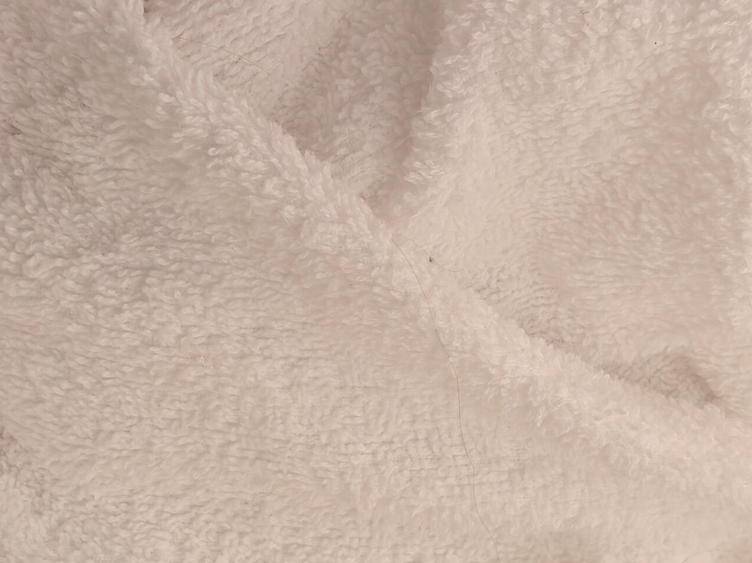 Staybridge Suites Charlottesville Airport by IHG主图