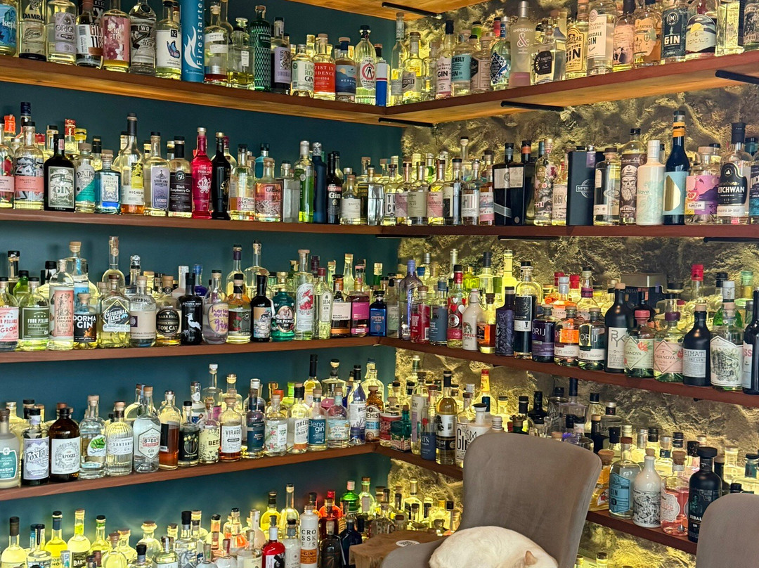 The Gin Library-蓬塔德尔加达必去景点