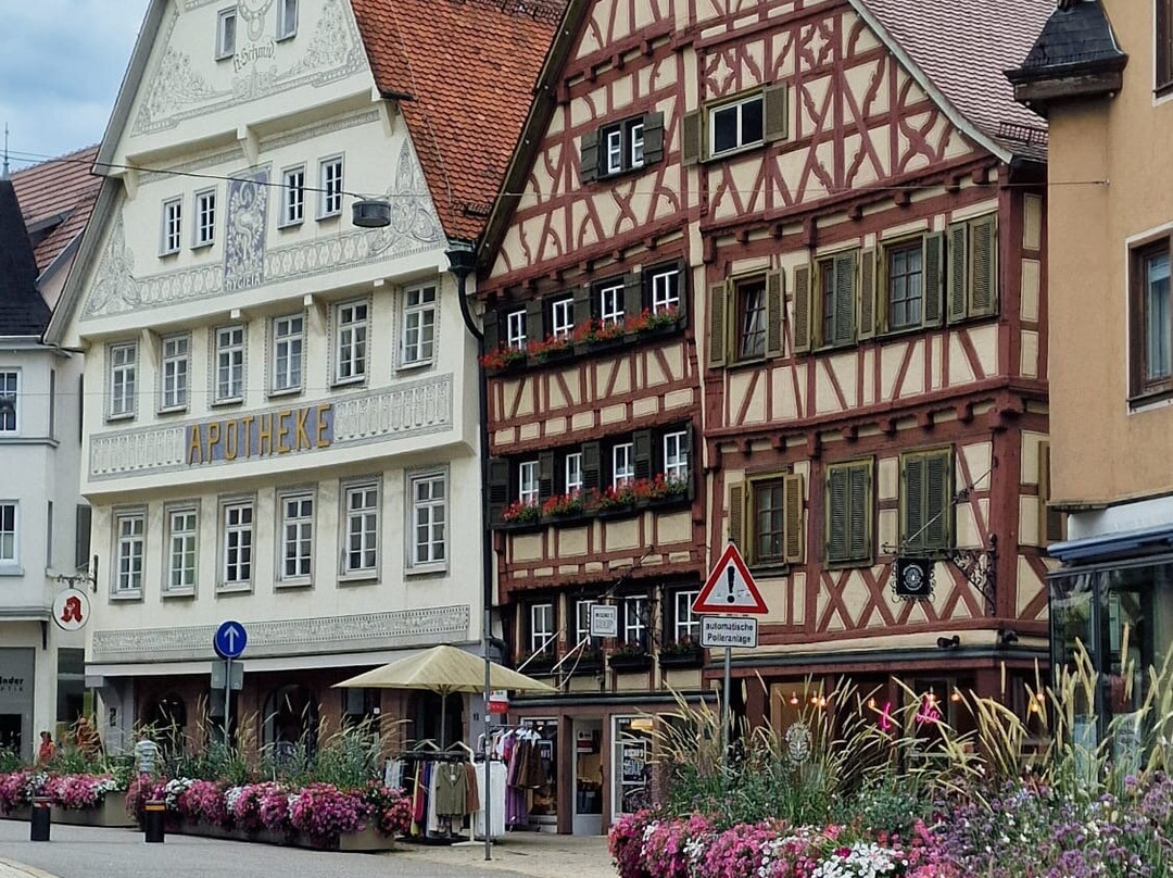 Altstadt Nagold-Nagold必去景点