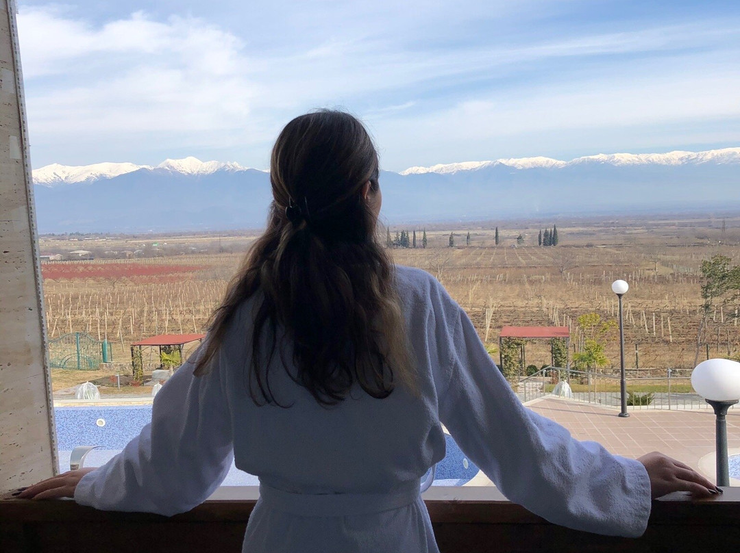 Panorama Kakheti Resort主图