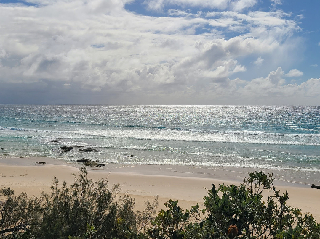 Meanjin to Minjerribah Cultural Day Trip.-Point Lookout必去景点