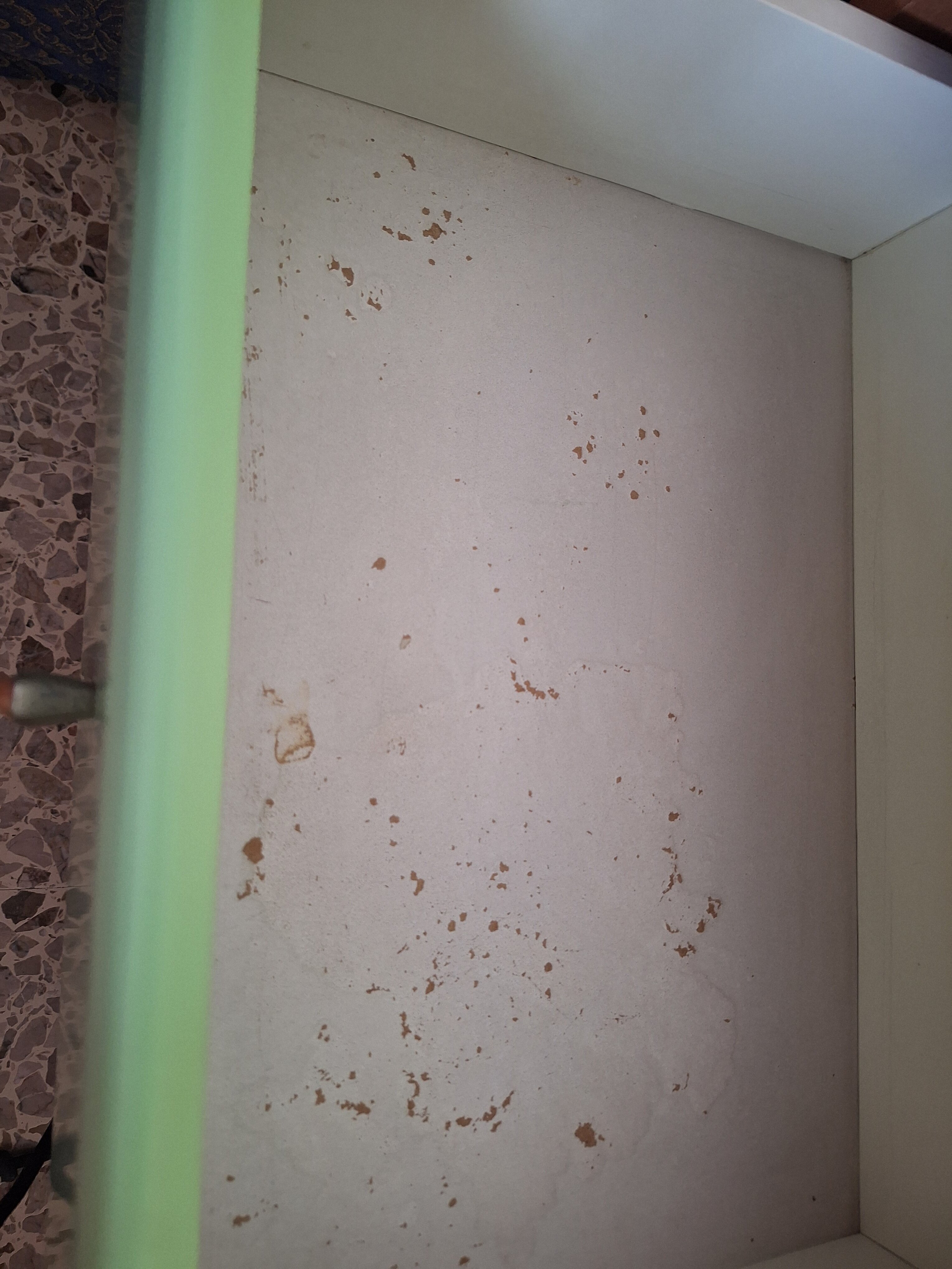 Hotel Columbus-官方