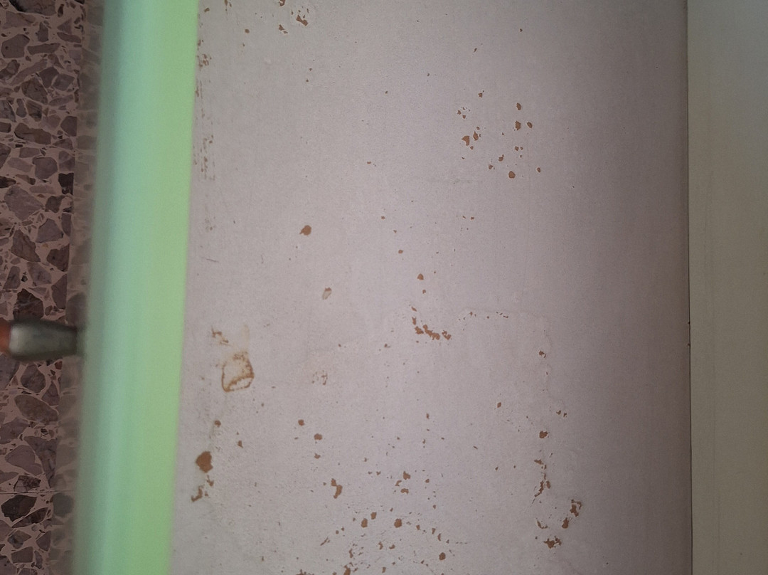 Hotel Columbus主图