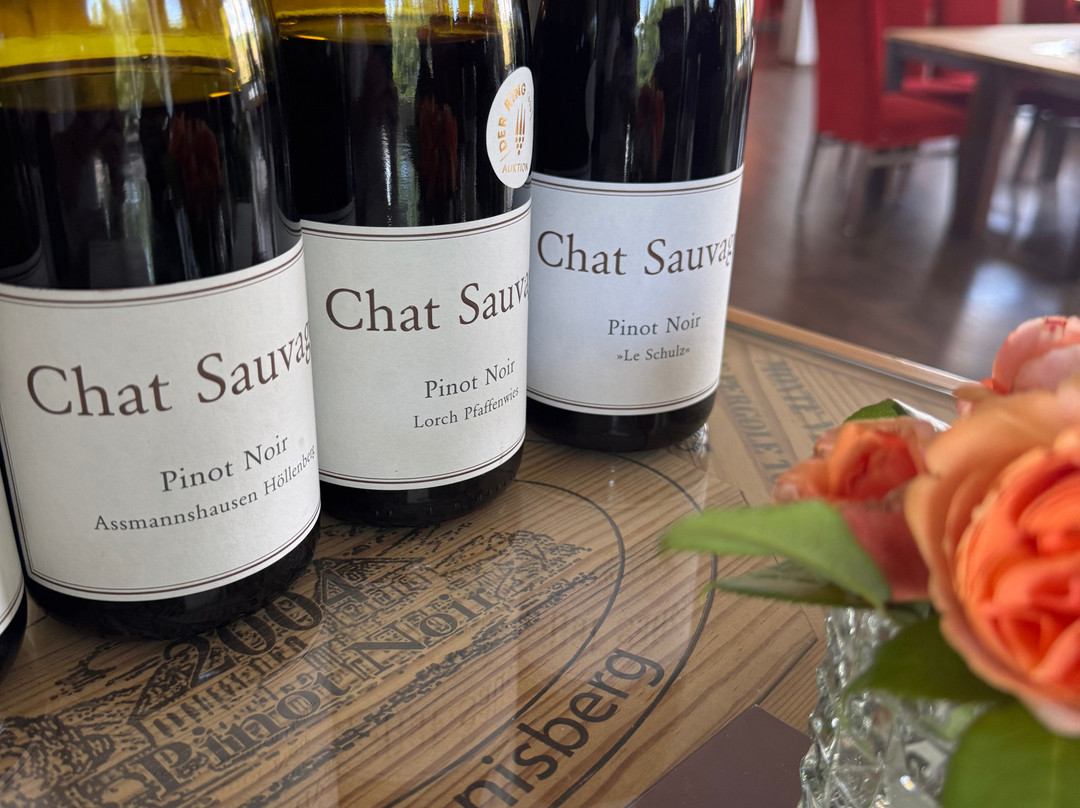 Weingut Chat Sauvage-盖森海姆必去景点