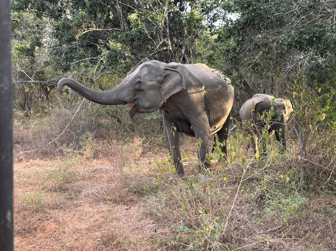 N2 Travels-加勒必去景点