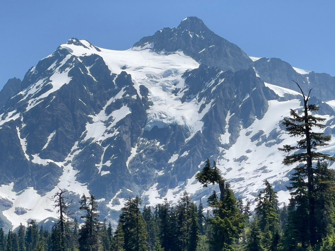 Mt Baker Ski Area-Glacier必去景点