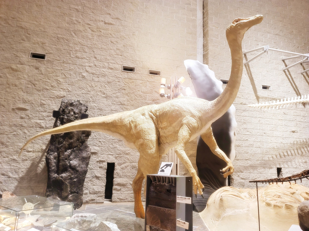 Gunma Natural Museum-富冈市必去景点