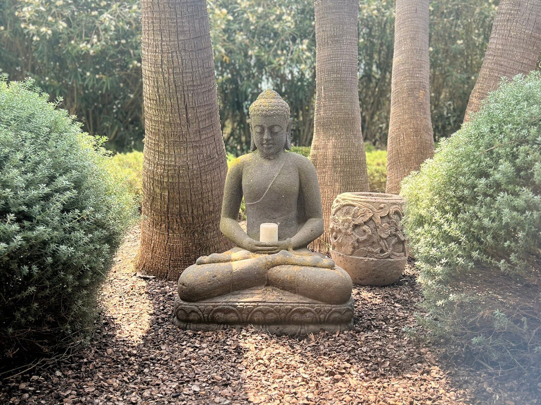 Cal Reiet Holistic Retreat主图