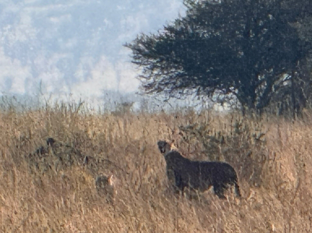 Bearfoot Expeditions-阿鲁沙国家公园必去景点