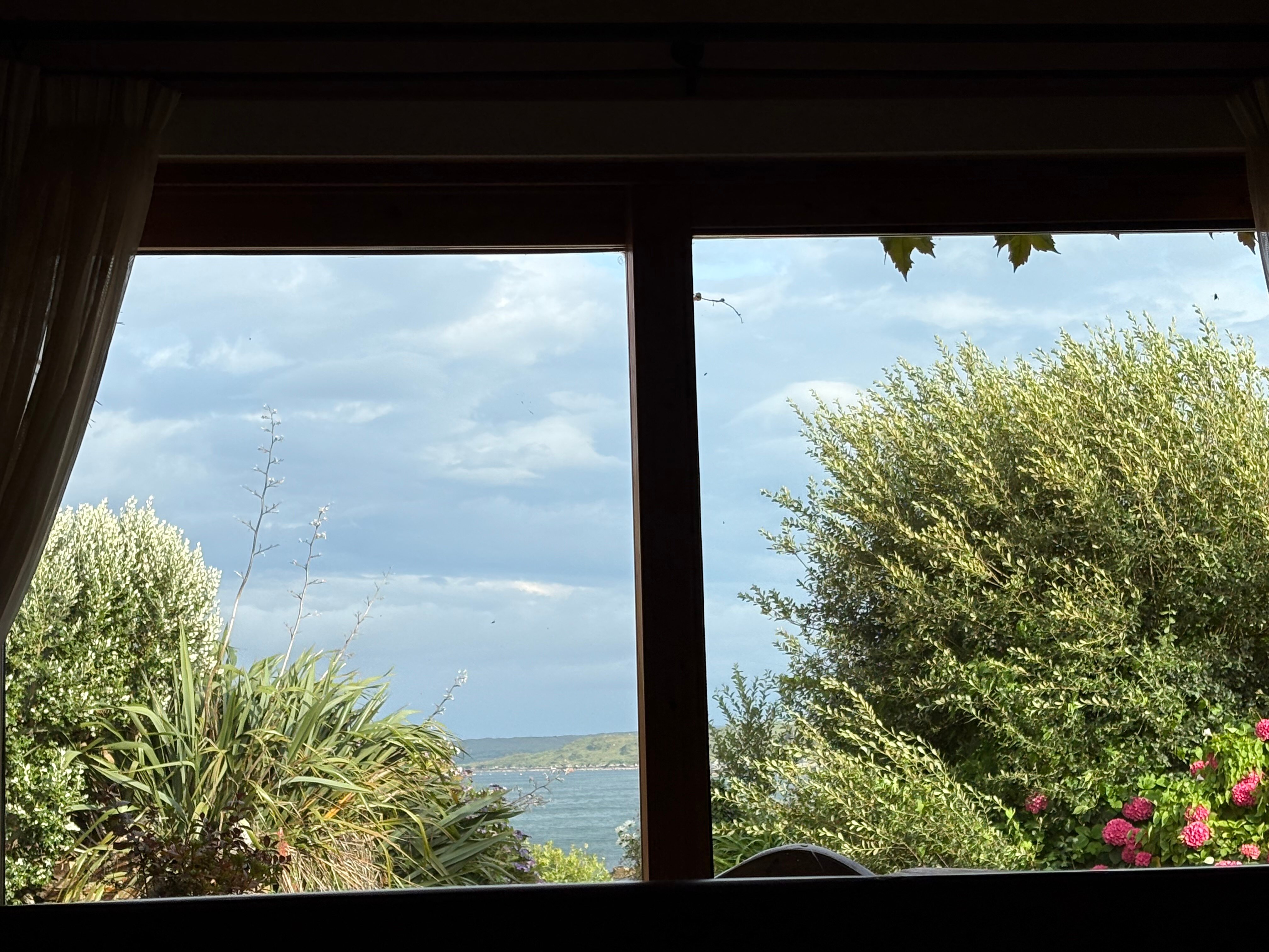 Dolphin Beach House-官方