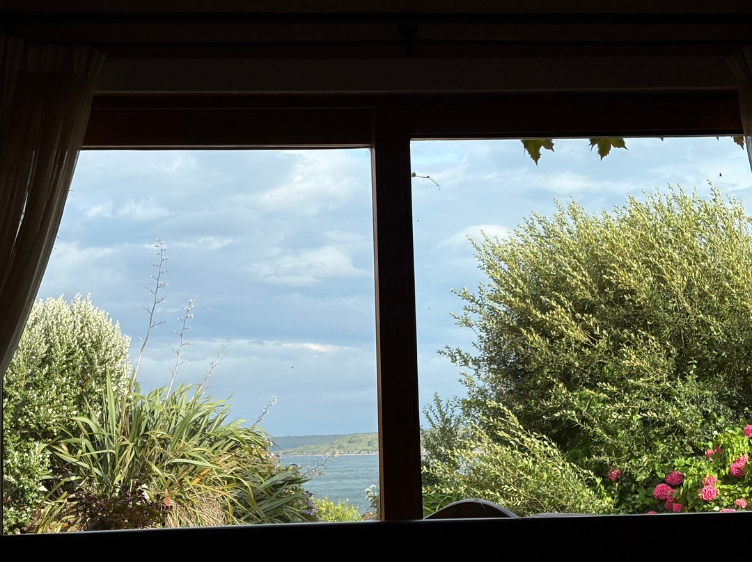 Dolphin Beach House主图