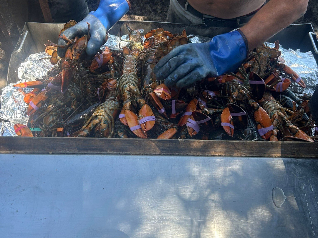Cabbage Island-布斯贝港必去景点