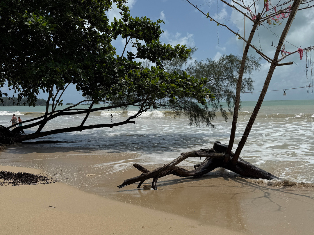 Coconut Beach-库克卡克海滩必去景点