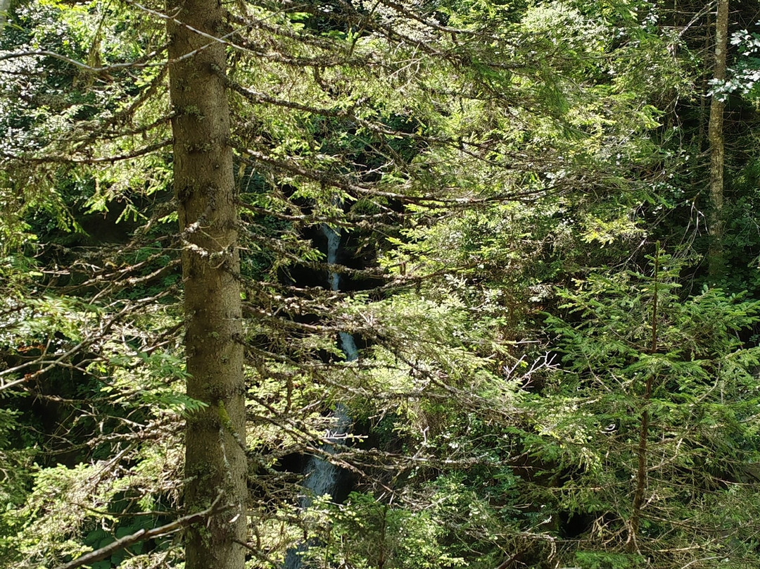 Cascade de Combe Noire-Les Contamines-Montjoie必去景点