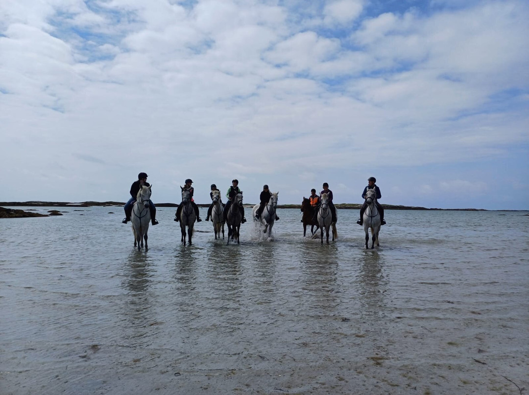 Connemara Equestrian Escapes-Moycullen必去景点