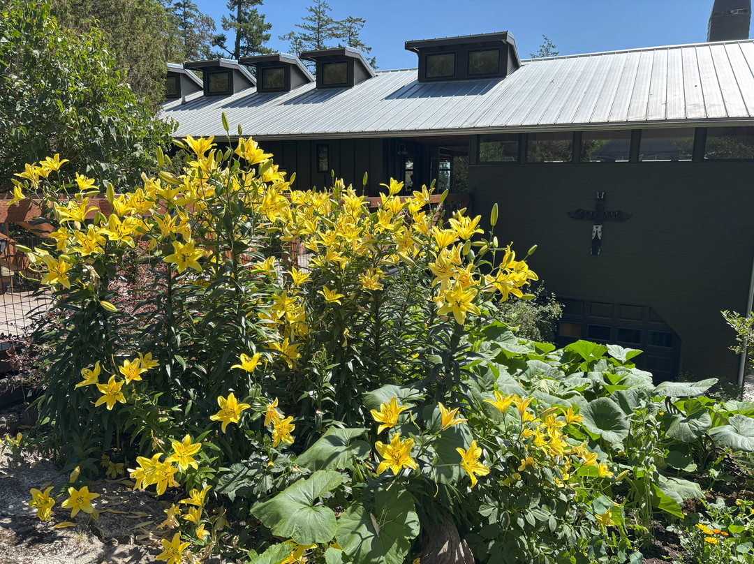 Pebble Cove Farm Inn and Animal Sanctuary主图