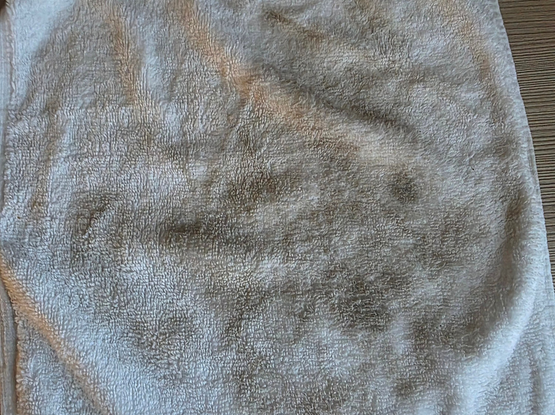 Courtyard by Marriott Jackson主图