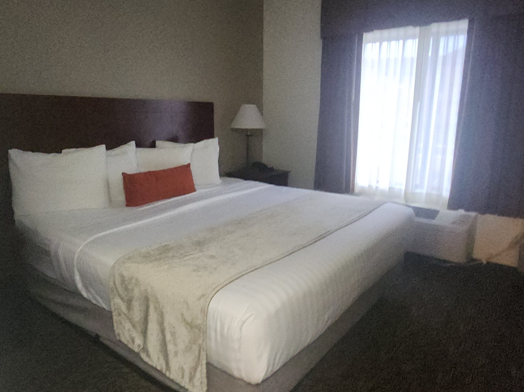 Best Western Plus Boulder Louisville主图