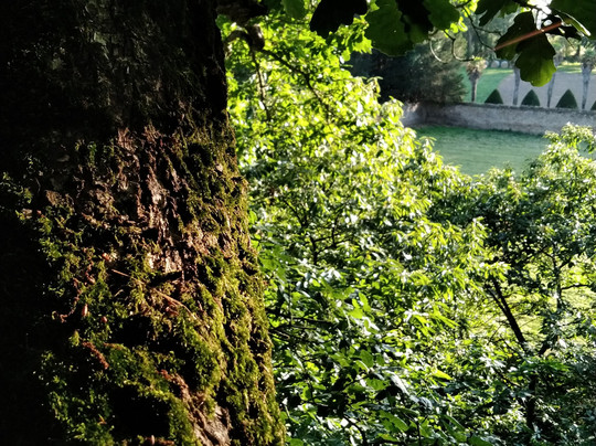 Chateau du Val d'Arguenon主图