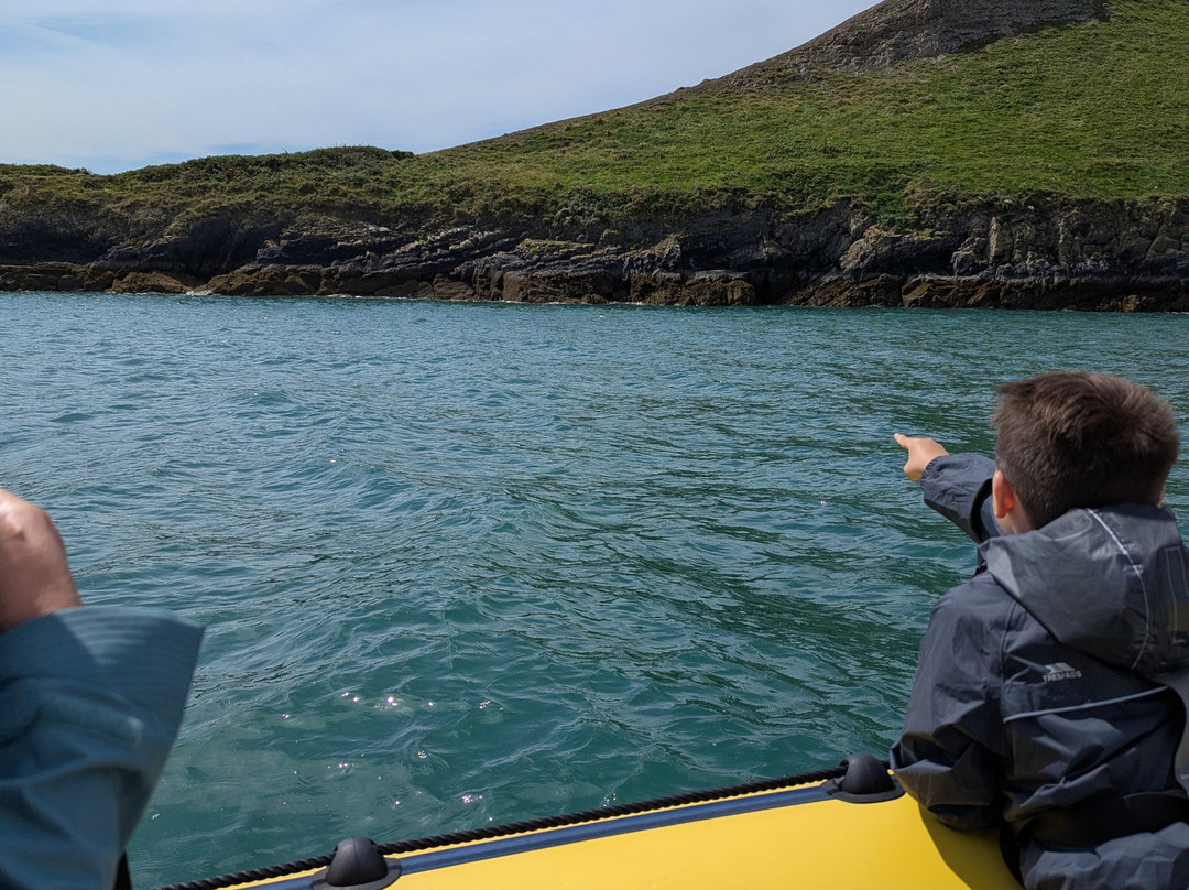 Gower Coast Adventures-Oxwich必去景点