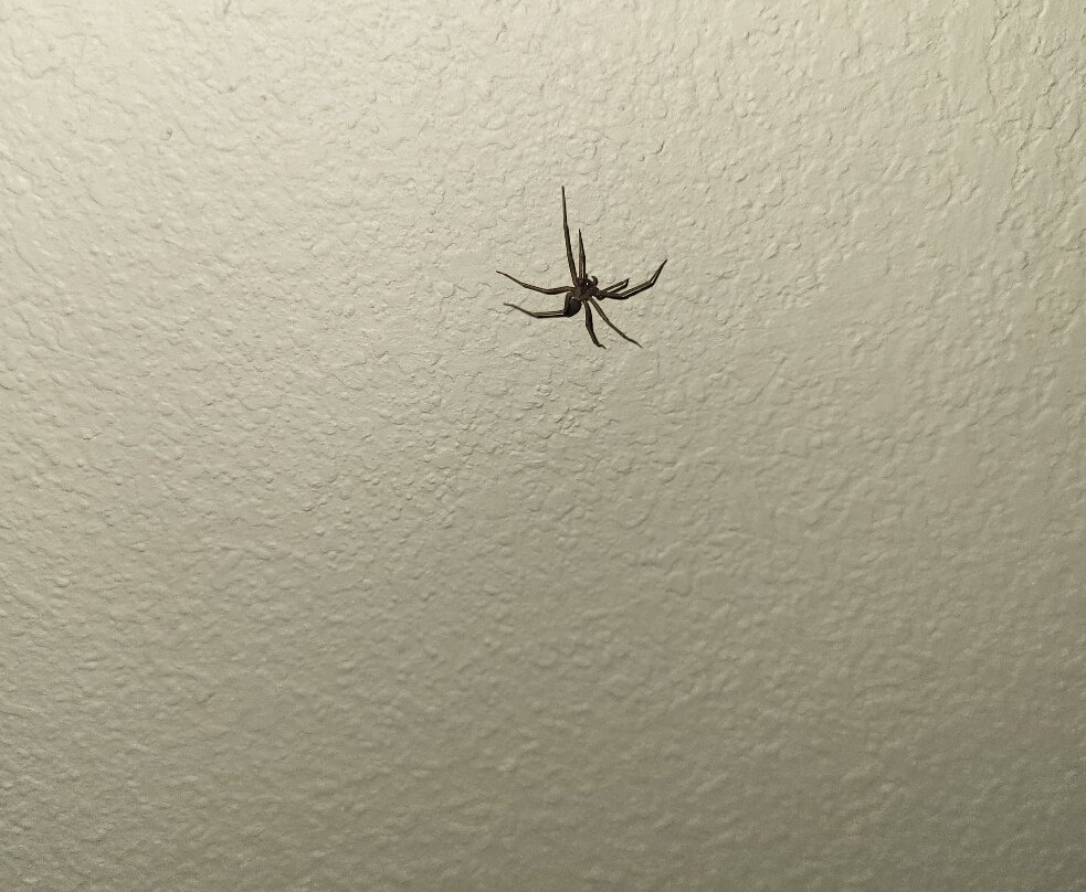 Best Western Stateline Lodge主图