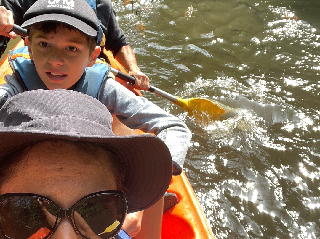 T en Leyre-Mios必去景点