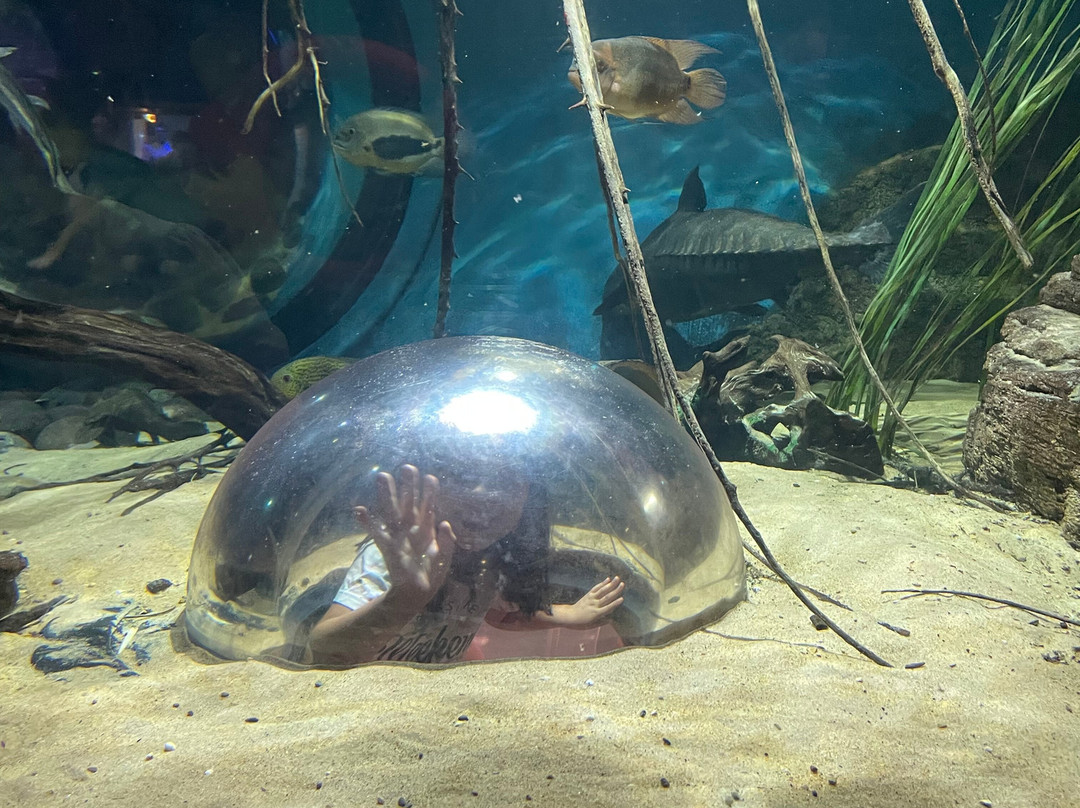 SEA LIFE Helsinki-赫尔辛基必去景点