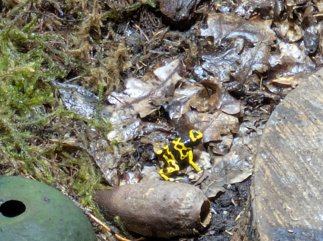 Attwell Farm Park-雷迪奇必去景点